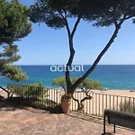 Cavall Bernat Ii * Platja d'Aro
