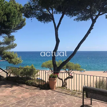 Cavall Bernat Ii * Platja d'Aro