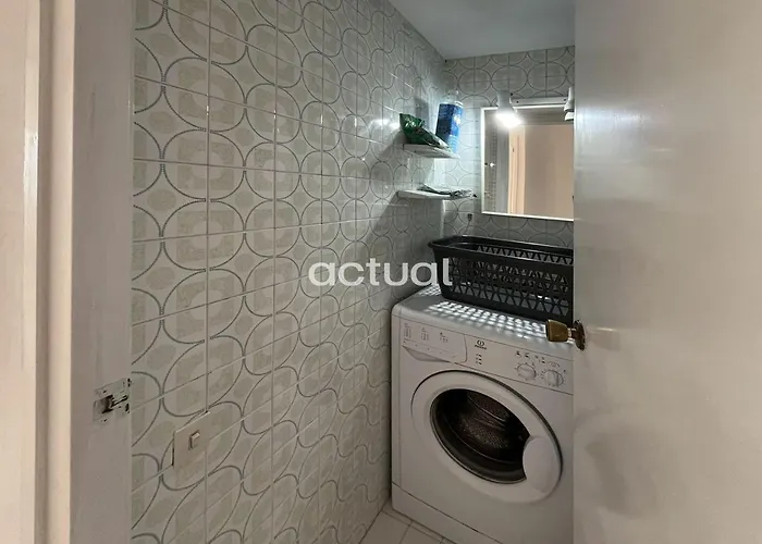 Cavall Bernat Ii Daire