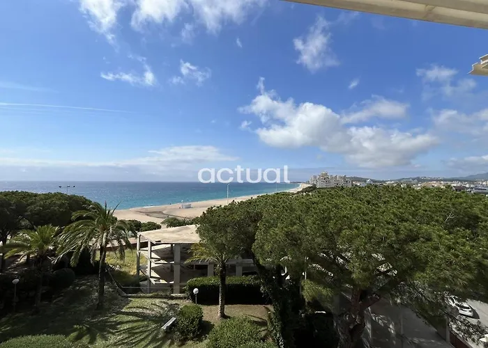 Cavall Bernat Ii Daire