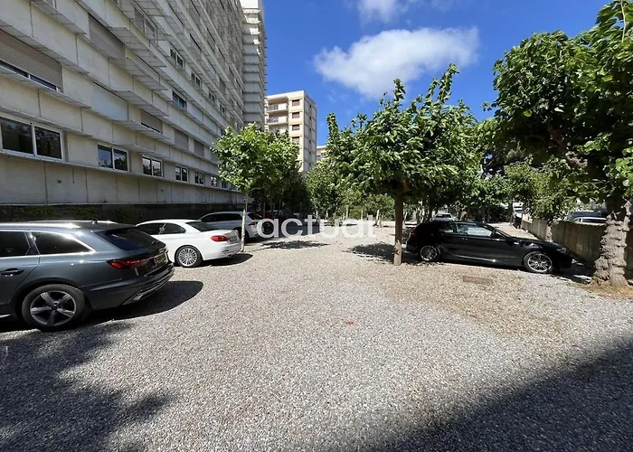 Cavall Bernat Ii Daire