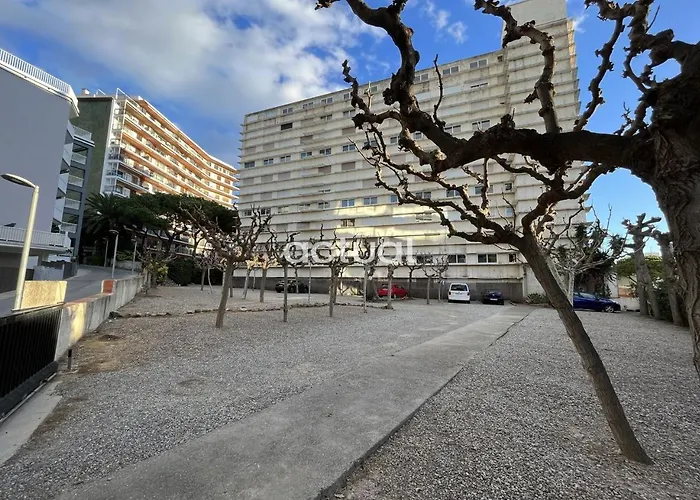 Cavall Bernat Ii Platja d'Aro